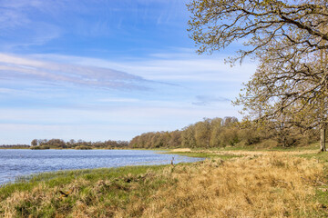 Poster - Lakeshore in a beautiful sunny landscape at spring