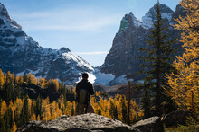 Tourist Looking At The Glaciers In Lake O'Hara In Autumn, Yoho National Park. Canadian Rockies.