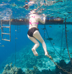 The girl swims underwater in the sea.