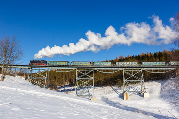 Wall Mural - Fichtelbergbahn steam train locomotive railway on a bridge in winter in Oberwiesenthal, Germany