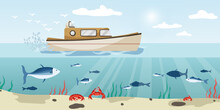 Private Travel Yacht In Ocean With Blue Water. Cartoon Sea Boat And Many Different Fish And Crabs Under Water Seabed. Underwater World With Tuna, Sardine, Salmon In Sandy Seascape. Vector Illustration