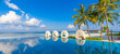 © icemanphotos - Beachside tourism panoramic landscape. Luxurious beach resort poolside, swimming pool, beach chairs beds, umbrellas with tropical palm trees and blue sky. Summer travel and vacation background concept