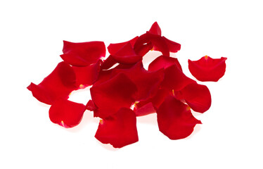 Canvas Print - red rose petals isolated