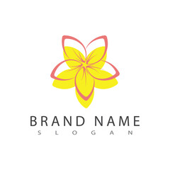 Beauty plumeria icon flowers design illustration Template