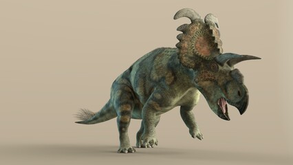 Wall Mural - 3d-illustration of an isolated extincted dinosaur albertaceratops