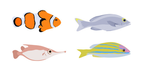 Wall Mural - Set of fishes in flat style. Illustration of isolated fishes Clownfish, Snipefish, Bluestripe Snapper. Fish isolated on white. vector illustration