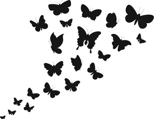 Wall Mural - Flying butterflies black icons. Tattoo stencil silhouettes, spring butterfly graphics. Various insect fly up in sky, isolated garden insects racy vector background