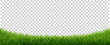 Green Grass Panorama Isolated Transparent Background