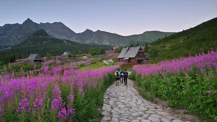 Wall Mural - Beautiful summer morning in the mountains - Hala Gasienicowa in Poland - Tatras