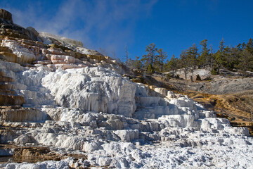 Wall Mural - Mammoth hot springs