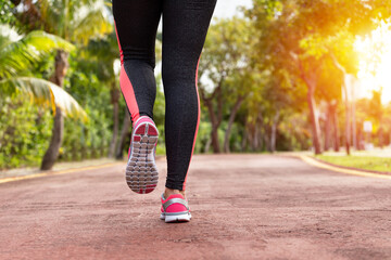 Wall Mural - fitness woman training and jogging in summer park, close up on running shoes