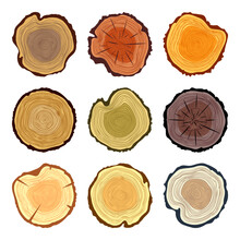Round Colorful Tree Trunk Cuts, Sawn Pine Or Oak Slices, Lumber. Saw Cut Timber, Wood. Brown Wooden Texture With Tree Rings. Hand Drawn Sketch. Vector Illustration