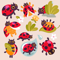 Poster - Funny Ladybirds or Wildlife Insects. Cute Ladybirds Set