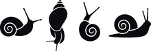 Grape Snail Logo. Isolated Grape Snail On White Background
