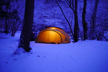 Wall Mural - tent in the woods