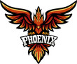 Phoenix bird cartoon mascot design