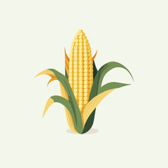 Sweet organic corn cob in vector illustration on white background