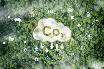 Wall Mural - co2 white fog, concept depicting the issue of carbon dioxide emissions, global warming, sustainable 