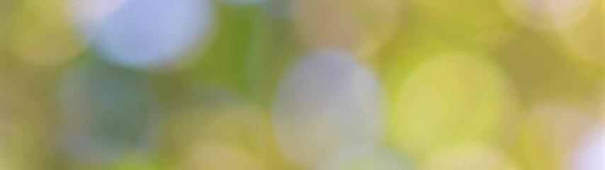 Poster - An Ultra-Wide Banner of Defocused Trees and Vibrant Colors in a Forest.