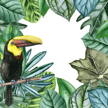 Watercolor Drawing Toucan Bird And Green Tropical Leaves, Hand Drawn Illustration, Jungle Background