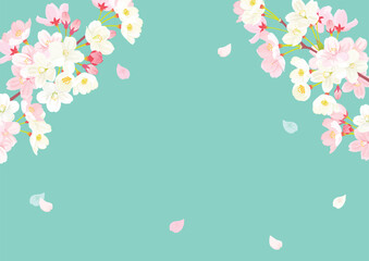 Sticker - 桜　背景イラスト