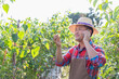 © AungMyo - Asian male farmer talking on mobile phone on the line to his customers for selling his cape gooseberry from his farm.
