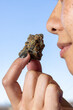 Female model smelling a dried cannabis nug