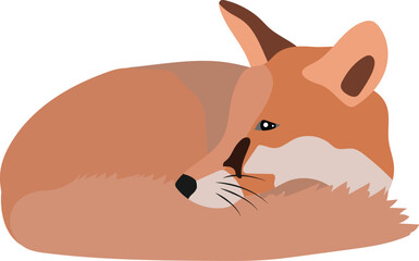 Wall Mural - fox vector image or clip art