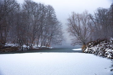 Poster - Frozen lake and forest covered with snow