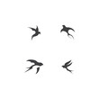 Swallow logo icon design vector image