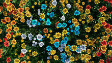 Floral Wallpaper With Yellow, Blue And Orange Roses. Vibrant Mother's Day Background With Multicolored Flowers.
