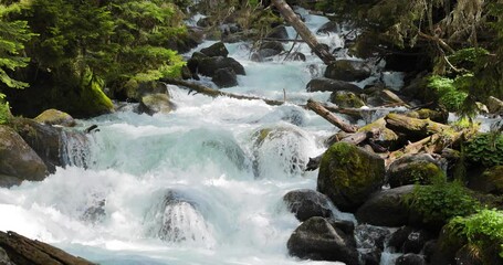 Wall Mural - Mountain River in the wood in slow motion. Beautiful wildlife landscape.