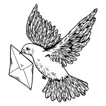 Postal Dove With Letter Engraving Style PNG Illustration With Transparent Background