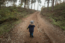 Toddler In Middle Of Forest On A Trail During Foggy Weather