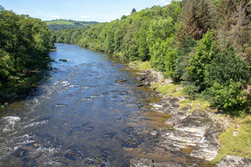 Wall Mural - River Wye and the Wye Valley in the Summertime.