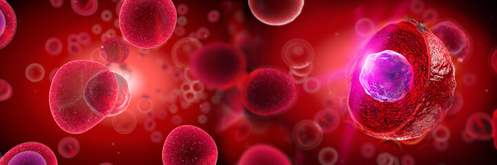 Wall Mural - embryonic stem cells , cellular therapy , regeneration , disease treatment