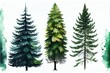 © Pixel Matrix - Forest fir trees set. Hand drawn watercolor illustration isolated on white background. Generative AI