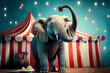 funny baby elephant juggles fruit on the background of the circus tent