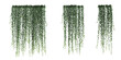 3d illustration set vernonia elliptica of isolated on transparent background
