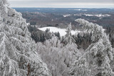 Fototapeta  - With Snow and frost covered forest and hills in moody cloudy winter landscape