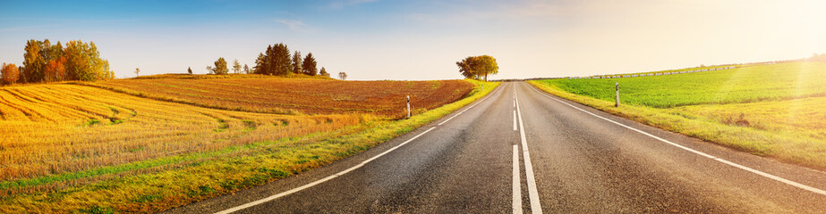 Wall Mural - Panoramic view of the country road in natural parkland.