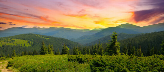 Bright mountain landscape with mountain peaks, forests and sun set. Carpathians. Ukraine. Wide photo.