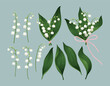Set with lily of the valley flowers and herbs