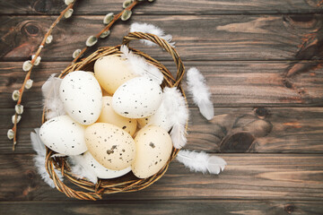 Wall Mural - Eggs in basket, branches willows and feathers on dark brown wooden background