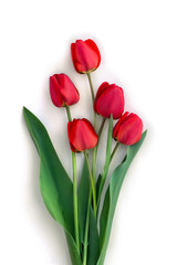 Wall Mural - bouquet of red flowers tulips on a white background with space for text. top view, flat lay