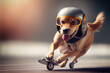 Hund mit Helm auf einem Skateboard - Generative Ai