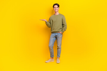Wall Mural - Full length photo of good looking man wear khaki clothes demonstrate empty space special offer isolated on yellow color background