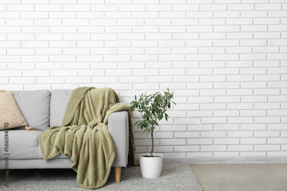 Grey sofa with plaid and houseplant near white brick wall