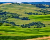 Fototapeta Pokój dzieciecy - landscape with beautiful green hills, tuscany, italy
