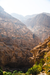 Poster - oasis in the desert canyon